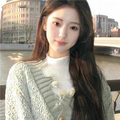大象之梦